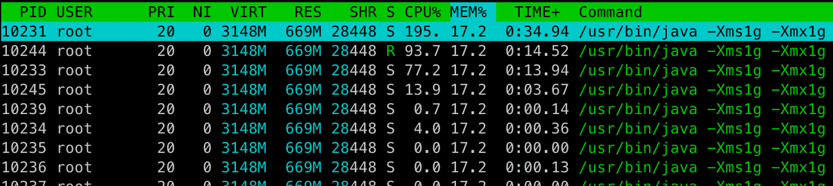 JVM 힙메모리 -Xms1g -Xmx1g 설정 시 가상메모리 측정값
