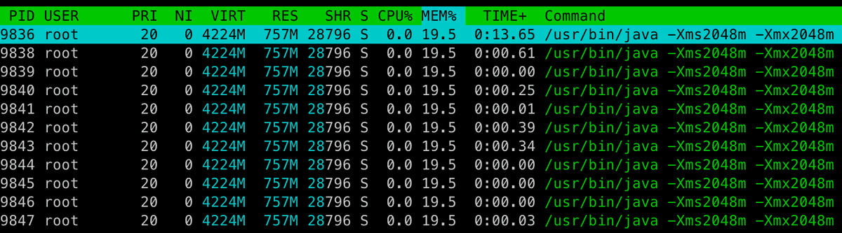 JVM 힙메모리 -Xms2g -Xmx2g 설정 시 가상메모리 측정값